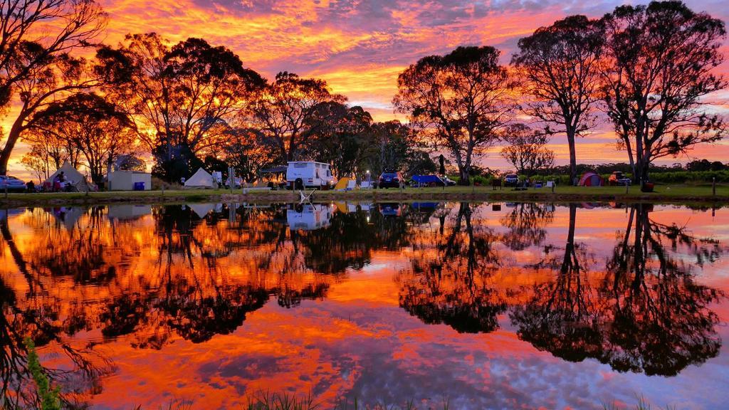 Coonawarra Bush Holiday Park Kültér fotó